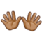 Open Hands - Medium emoji on Samsung